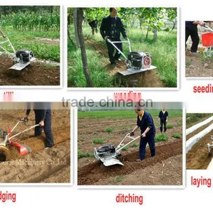 Cheap Price New Farm Tractor Agricultural Tractor Rotavator Mini-traktor for Walnuts thumbnail-4