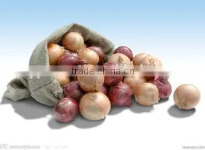 Frozen Onion Rings thumbnail-1