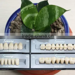 Huge Dental Sonning Full Set Acrylic Denture Teeth thumbnail-2