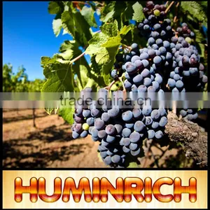 Relationship Between Root Growth And Fertilization Of Fruit Trees thumbnail-3