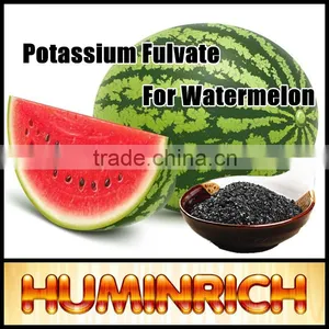 Huminrich Shenyang 70HA+15FA+6K2O Fertilizantes Para El Melon thumbnail-1