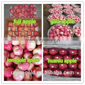 Chinese Fuji Fresh Red Apple thumbnail-1