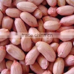 Shandong Hot Sale Raw Peanuts for Sale thumbnail-1