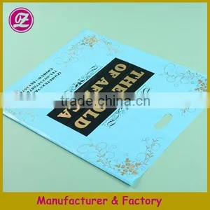 Cheap Design Your Own Logo Free Standing Punch Bag, Punch Hole Plastic Bag thumbnail-2