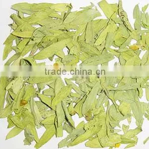 Senna Leaves thumbnail-1