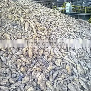 Thailand Organic High Quality Fresh Cassava for Sale thumbnail-1