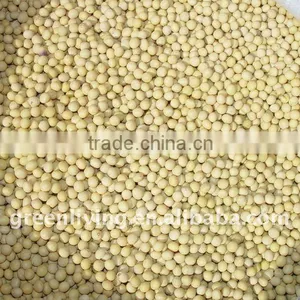 Soya Bean Supplier thumbnail-1