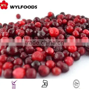 IQF China Price for Frozen Linggonberry Hot Sales thumbnail-1