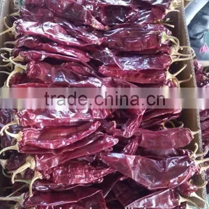 Whole Paprika Pods 180ASTA thumbnail-3