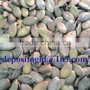 Grown Without Shell Pumpkin Seeds Grade AA thumbnail-5