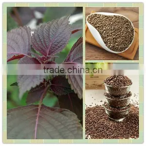 Pure Perilla Seed Oil thumbnail-3