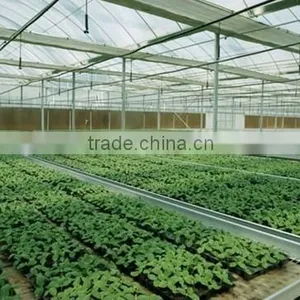 Galvanized Welded Wire Mesh for Greenhouse Seedbed Benches thumbnail-1