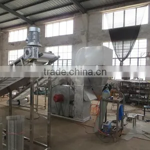 Vegetable Stem Remove Winnowing Machine thumbnail-3