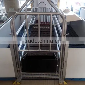 Hot Selling High Quality Fiber Glass Pig Cages,farrowing Crate,pig Farm House thumbnail-3
