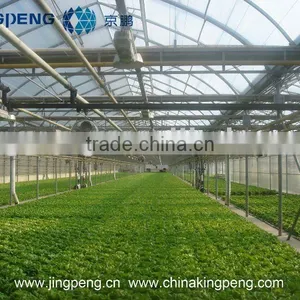 Polycarbonate Board Greenhouse thumbnail-1