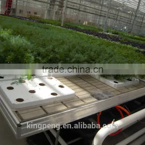 Tide Irrigation System for Nursery and Seedling Greenhouse thumbnail-1