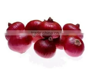 Large Machine Cutter Chengdu Mashed Garlic Ginger Garlic Machine of High Quality Stainless Steel Blade Free Use of a Machine thumbnail-3