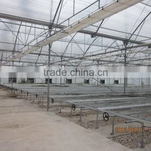 Poly Film Tomato Greenhouse thumbnail-4