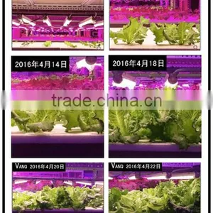 2017 Hotsale Tube Grow Lights 20w for Tomatoes,30% More Harvest,red/blue/full Spectrum thumbnail-3