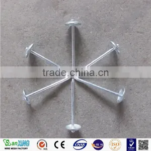 Nails for Construction/Galvanized Iron Nails,umbrella Head Roofing Nails thumbnail-5
