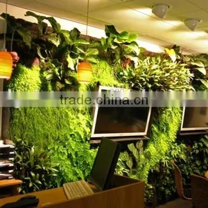 Factory Production Exhibition Wall Systems Newly Vertical Green Wall thumbnail-1