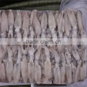 Hot Sale Whole Round Frozen Baby Squid thumbnail-3