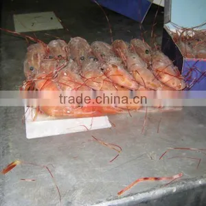 B.C SPOT PRAWNS thumbnail-1