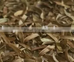 2016 New Dried Olive Leaf thumbnail-3