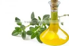Thyme Oil thumbnail-1