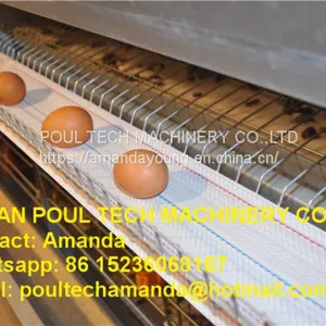 South Africa Chicken Farming Full Automatic H Frame Layer Cage & Chicken Cage & Hen Coop & Laying Hen Cage in Poultry House & Chicken Shed thumbnail-2