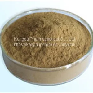 SEA BUCKTHORN EXTRACT,Sea Buckthorn Extract Manufacturer thumbnail-1