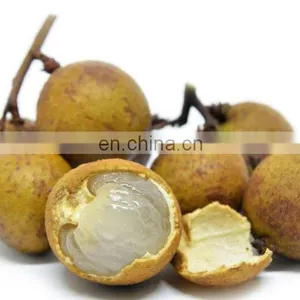 Longan Fruit Peeling and Pitting Machinery Lychee Fruit Peeler and Seeds Core Removing Equipment Litchi Juice Processing Line thumbnail-3