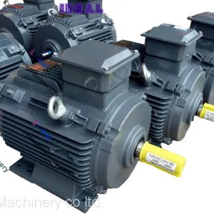 Three Phase Electric Motor 1924 thumbnail-3