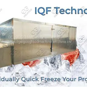 Industrial IQF Machine Price For Fruit & Vegetable thumbnail-2