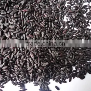 Steamed/roasted Black Rice (organic or Common) thumbnail-1