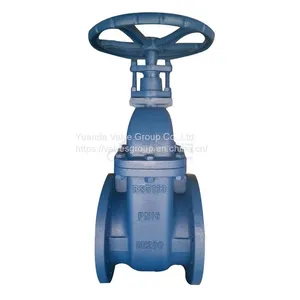 BS5163 Cast Iron Non-rising Stem Gate Valve Gost Gate Valves Exporter thumbnail-1