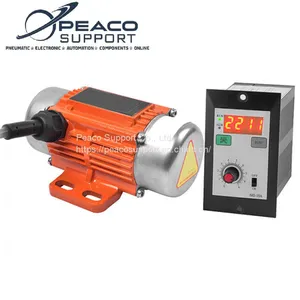 10W-200W DC Vibration Motor thumbnail-1