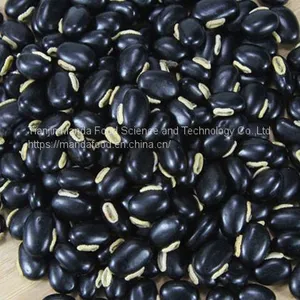 Black Lentils/Black Hyacinth Beans thumbnail-1