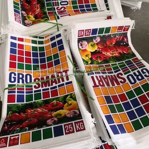 Sandwich Bags 25kg 40kg 50kg for Packaging Frozen Fish, Food Products for People Custom Color/ Design thumbnail-3