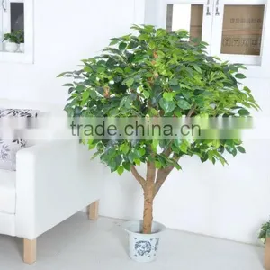 Fake Tree thumbnail-1