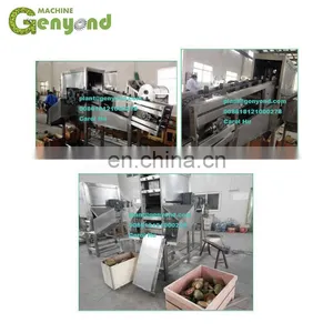Professional Factory Coconut Water Processing Plant Cost thumbnail-3