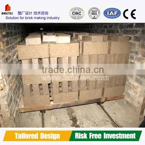 Clay Brick Tunnel Dryer With Various Industry Automatic Brick Making Machine thumbnail-2