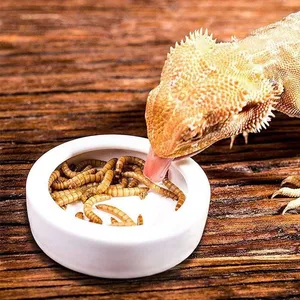 Dried Mealworms&Black Soldier Fly thumbnail-4