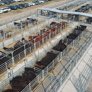 Cheap Pen Horse Corral Panels Livestock Cattle Panels for Farm thumbnail-2