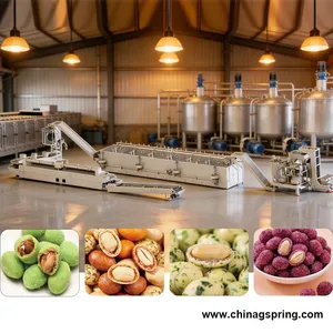 Fully Automatic Peanut Coating Roasting Production Line Stainless Steel for Snack Food Processing thumbnail-2