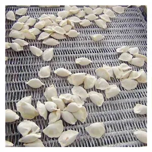 Shanghai IQF Quick Freeze System for Fresh Fruits & Vegetables Instant Frozen Vegetable Machine thumbnail-4