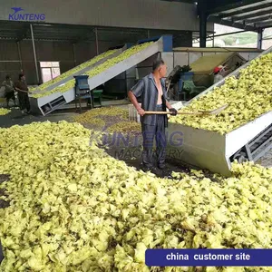 Automatic Nutmeg Dryer Machine Band Dryers Electric Dryer Machine Flower Drying Machine EPC thumbnail-3
