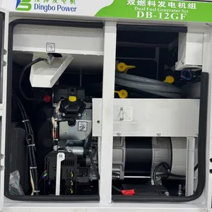 12KW 15kVA Silent Gasoline and NG Generator thumbnail-4