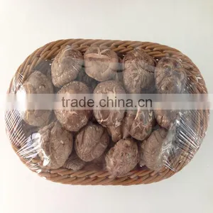 Dried Tea Flower Shiitake Mushroom thumbnail-1