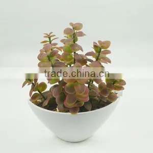Artificial Potted Plant Artificial Plant Artificial Succulent Wholesale thumbnail-2